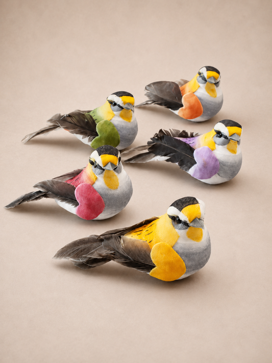 Oiseaux