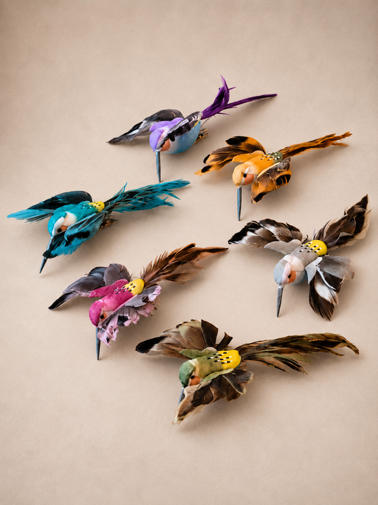 Colibri